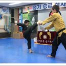 용인대한얼태권도 이미지