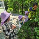 다목초병설유치원 이미지