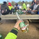 (주)탑픽 | 호주 워홀 브리즈번 카불쳐 농장 솔직후기 1탄 🍇 라즈베리 픽킹 &amp; 팩킹 &amp; 커팅 / 세컨 써드비자