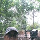 비젼C.C 네이버블로그