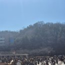 컴포즈커피경희대국제캠퍼스기숙사점 | [드림클래스] 2026 삼성드림클래스 정기 연수 후기 | 유형 2 연장멘토 | 경희대학교 국제캠퍼스
