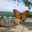 봉무공원야영장 이미지