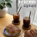 굽다 - 강남구 자곡로 192 | 울산 빵 맛집 동구 카페 오늘도굽다 빵지순례 추천하는 내돈내산 후기