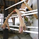 성환엘크사슴농장 이미지