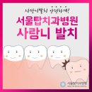 서울탑치과 이미지