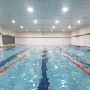 키튼코리아 이미지