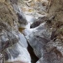 하늘을 품은 사슴 이미지