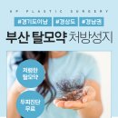 유피성형외과의원 이미지