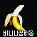 바나나 - 홍천군 구룡령로 2619 | 바나나