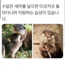 블레스병원 | 더블레스 산후조리원 청담 후기