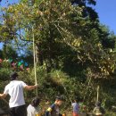 대장나무숲놀이터 이미지