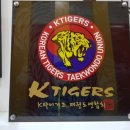 용인대 청룡 태권도 이미지