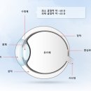 우리들의안경원 이미지