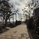 수원-매산-206 이미지