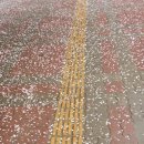 서부대로 이미지