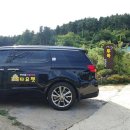 양평애견택시 이미지