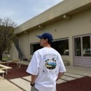 고양이뻐스 이미지