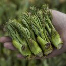 환평약초체험마을 이미지