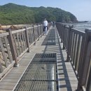 씨스카이월드 | [인천/무의도] 바다 위를 걷는 짜릿함! 절경이 펼쳐지는 '무의도 해상관광탐방로' 방문기 🌊