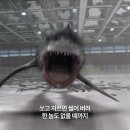 인투
