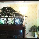 소나무무인호텔 이미지