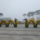 거창-마리-1 이미지