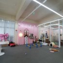 멍꾸러기 이미지