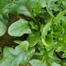 택배농장 이미지