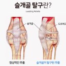 산본동물병원 이미지