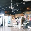 루체인알티스 이미지