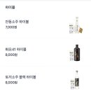 걸리비어여행기