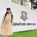 (주)플레이어스 | LG SIGNATURE 시그니처 플레이어스 챔피언십 갤러리 관람 후기 입장권 주차장 셔틀 이벤트 정보
