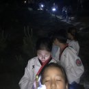 경희번개태권도 이미지