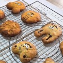 토끼와거북이 | 전주 베이킹 원데이클래스 쿠키 만들기 체험 후기 전주 토끼와거북이