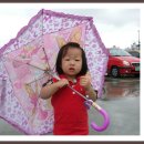 회인중학교 이미지