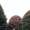 (주)피드백 이미지