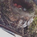 명도태권도체육관 이미지