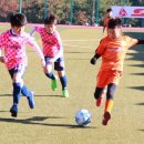 백암다목적운동장 이미지