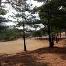 쉬자파크 이미지