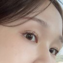 싱싱동물약국 | 부산 속눈썹연장 경성대속눈썹연장 추천 그리밍뷰티