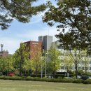 GS25 금사대우점 | [두돌아기] 수원 성균관대학교 자연과학캠퍼스 아기와 피크닉 장소