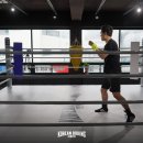 코리안 복싱센터 이미지