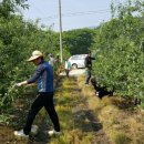 번암면사무소 이미지