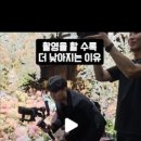 더그레이스무비 네이버블로그
