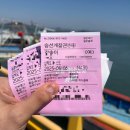 [신안선도/수선화]신안 선도 수선화축제!! /선도 가는 방법/ 가룡항/배시간/배시간표/여객선승선시간표...