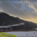 닥터스노우