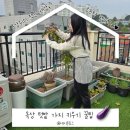 간식 텃밭 만들기 이미지