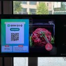 육회꽃필무렵 이미지