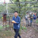 배한농장 이미지