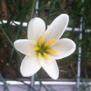 좋은생각 이미지